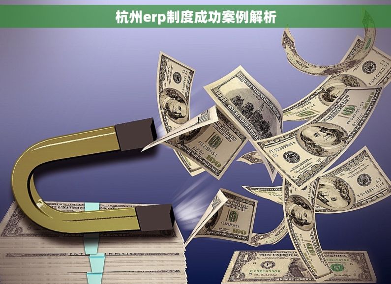 杭州erp制度成功案例解析