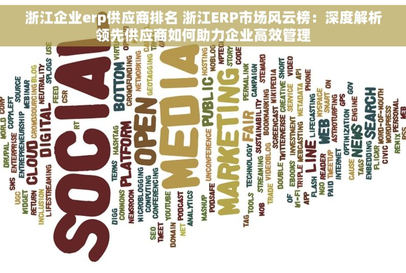 浙江企业erp供应商排名 浙江ERP市场风云榜：深度解析领先供应商如何助力企业高效管理