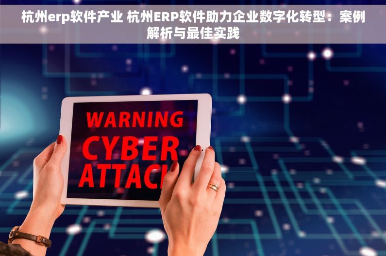 杭州erp软件产业 杭州ERP软件助力企业数字化转型：案例解析与最佳实践