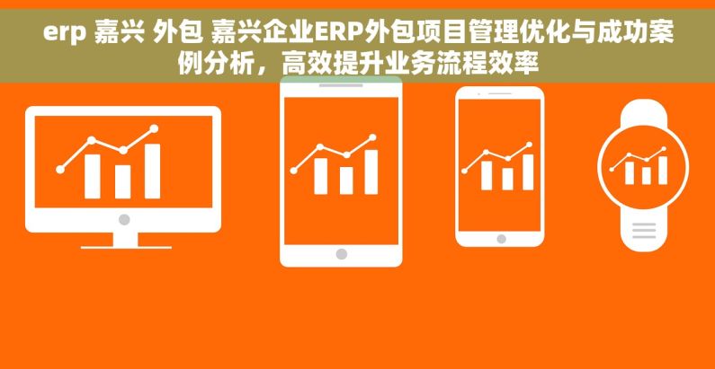 erp 嘉兴 外包 嘉兴企业ERP外包项目管理优化与成功案例分析，高效提升业务流程效率