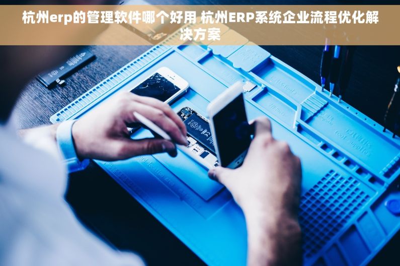 杭州erp的管理软件哪个好用 杭州ERP系统企业流程优化解决方案