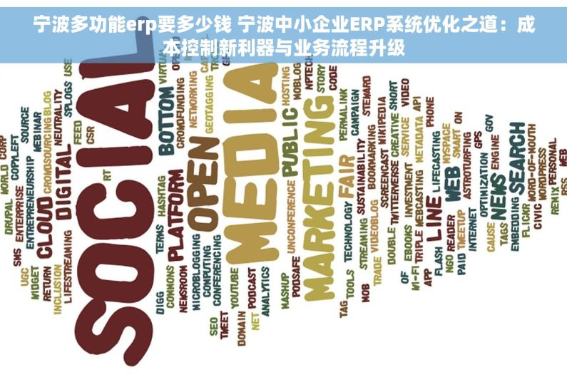宁波多功能erp要多少钱 宁波中小企业ERP系统优化之道：成本控制新利器与业务流程升级