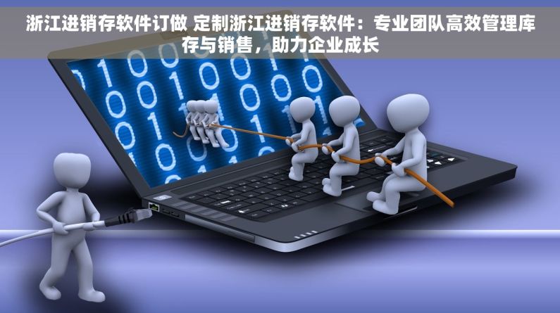 浙江进销存软件订做 定制浙江进销存软件：专业团队高效管理库存与销售，助力企业成长