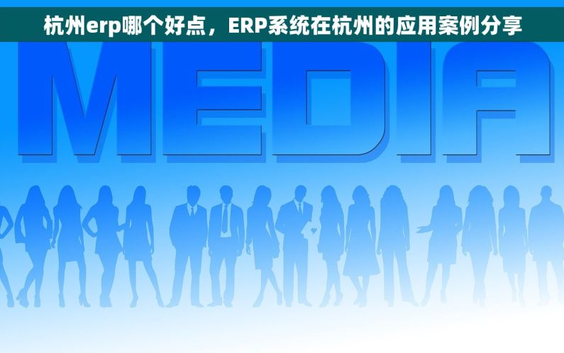杭州erp哪个好点，ERP系统在杭州的应用案例分享