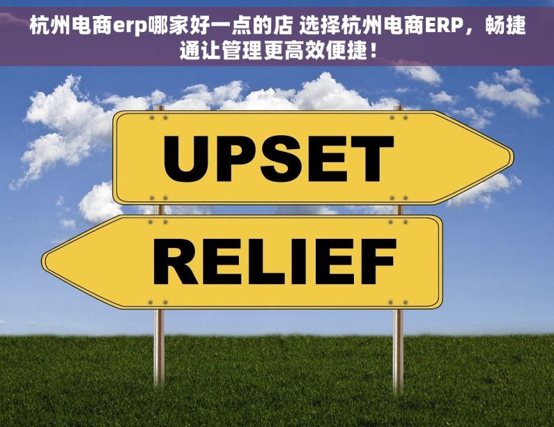 杭州电商erp哪家好一点的店 选择杭州电商ERP，畅捷通让管理更高效便捷！