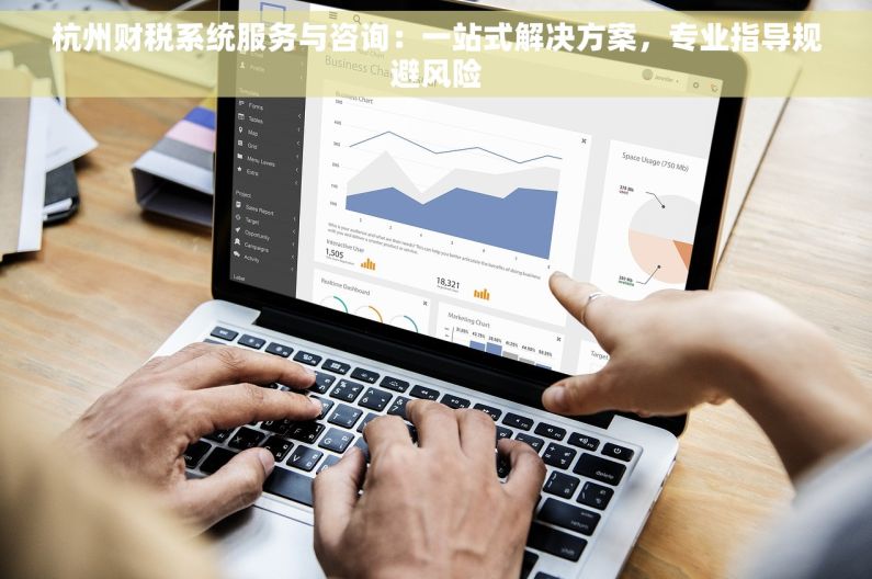 杭州财税系统服务与咨询：一站式解决方案，专业指导规避风险