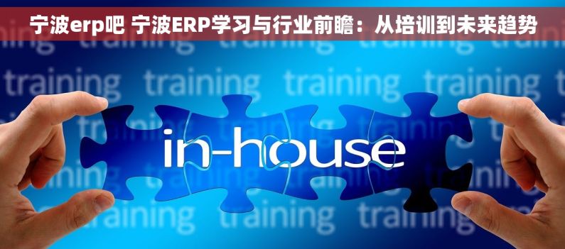 宁波erp吧 宁波ERP学习与行业前瞻：从培训到未来趋势