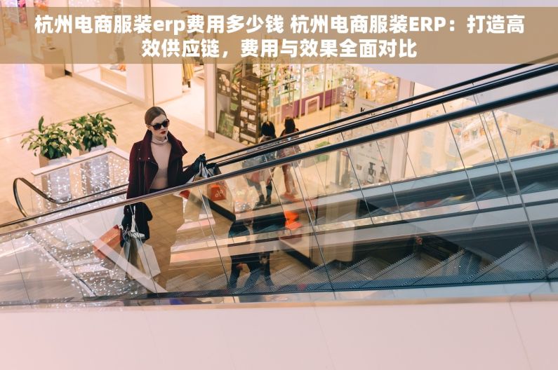 杭州电商服装erp费用多少钱 杭州电商服装ERP：打造高效供应链，费用与效果全面对比