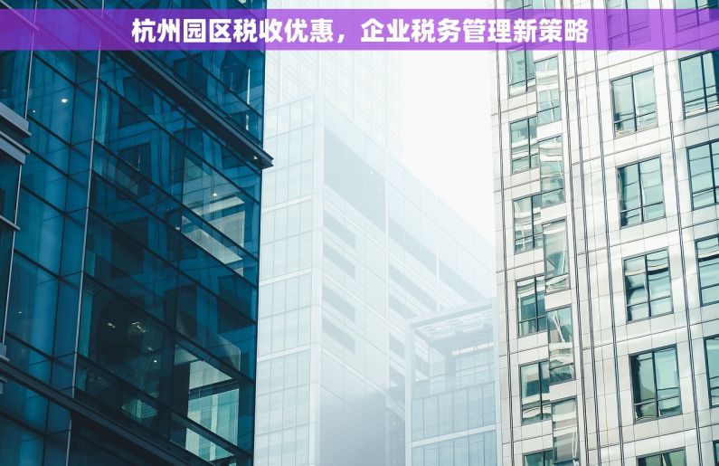 杭州园区税收优惠，企业税务管理新策略