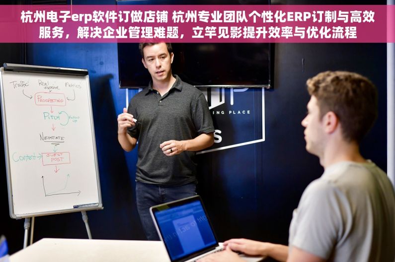 杭州电子erp软件订做店铺 杭州专业团队个性化ERP订制与高效服务，解决企业管理难题，立竿见影提升效率与优化流程