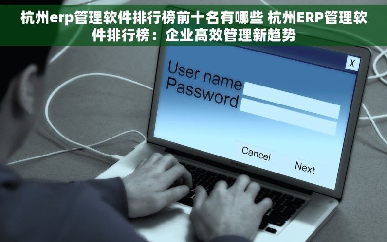 杭州erp管理软件排行榜前十名有哪些 杭州ERP管理软件排行榜：企业高效管理新趋势