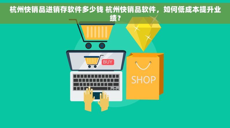 杭州快销品进销存软件多少钱 杭州快销品软件，如何低成本提升业绩？