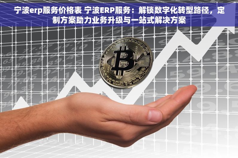 宁波erp服务价格表 宁波ERP服务：解锁数字化转型路径，定制方案助力业务升级与一站式解决方案