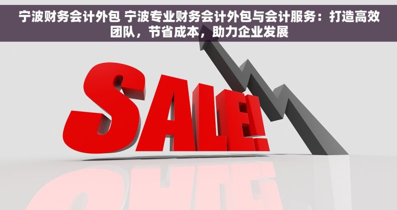 宁波财务会计外包 宁波专业财务会计外包与会计服务：打造高效团队，节省成本，助力企业发展