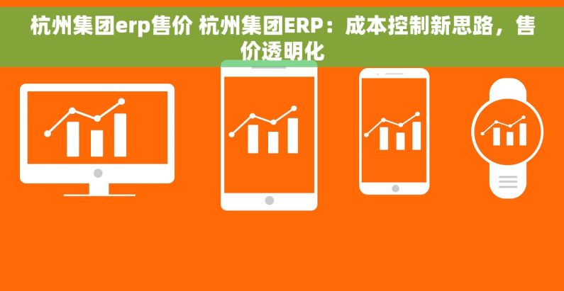 杭州集团erp售价 杭州集团ERP：成本控制新思路，售价透明化