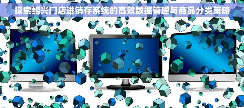 探索绍兴门店进销存系统的高效数据管理与商品分类策略