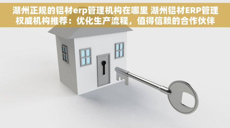 湖州正规的铝材erp管理机构在哪里 湖州铝材ERP管理权威机构推荐：优化生产流程，值得信赖的合作伙伴