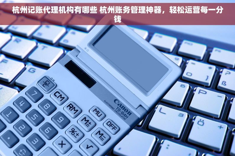 杭州记账代理机构有哪些 杭州账务管理神器，轻松运营每一分钱