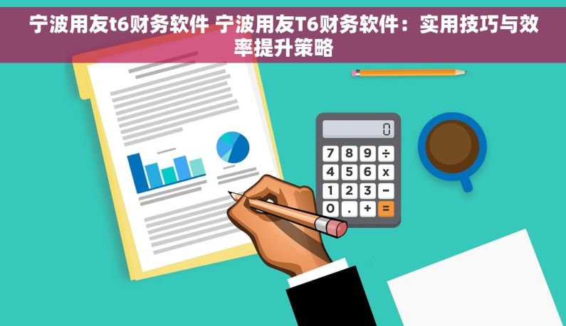宁波用友t6财务软件 宁波用友T6财务软件：实用技巧与效率提升策略