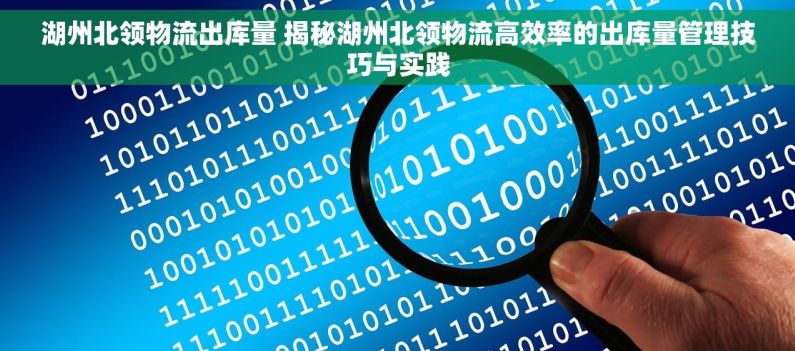 湖州北领物流出库量 揭秘湖州北领物流高效率的出库量管理技巧与实践