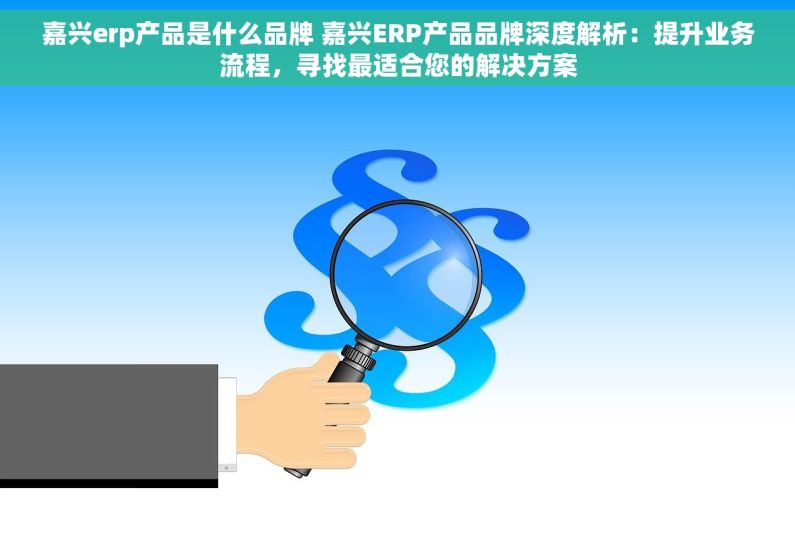 嘉兴erp产品是什么品牌 嘉兴ERP产品品牌深度解析：提升业务流程，寻找最适合您的解决方案