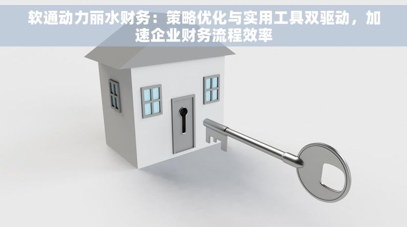 软通动力丽水财务：策略优化与实用工具双驱动，加速企业财务流程效率