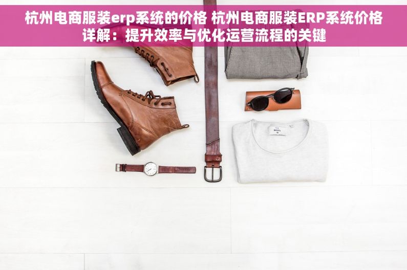 杭州电商服装erp系统的价格 杭州电商服装ERP系统价格详解：提升效率与优化运营流程的关键