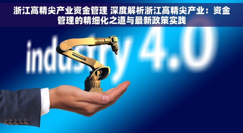 浙江高精尖产业资金管理 深度解析浙江高精尖产业：资金管理的精细化之道与最新政策实践