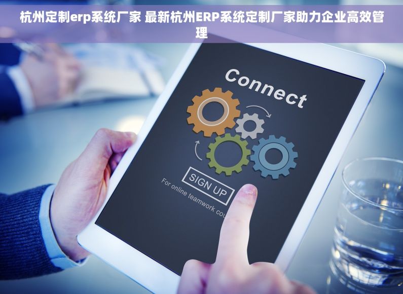 杭州定制erp系统厂家 最新杭州ERP系统定制厂家助力企业高效管理