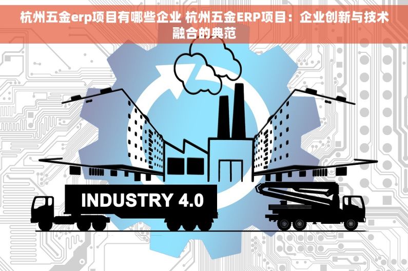 杭州五金erp项目有哪些企业 杭州五金ERP项目：企业创新与技术融合的典范