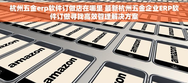 杭州五金erp软件订做店在哪里 最新杭州五金企业ERP软件订做寻找高效管理解决方案