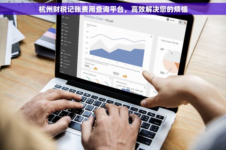 杭州财税记账费用查询平台，高效解决您的烦恼