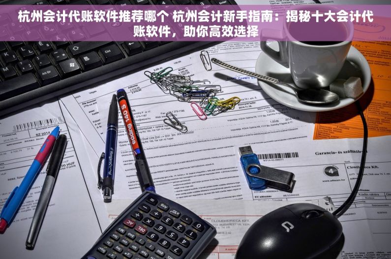 杭州会计代账软件推荐哪个 杭州会计新手指南：揭秘十大会计代账软件，助你高效选择