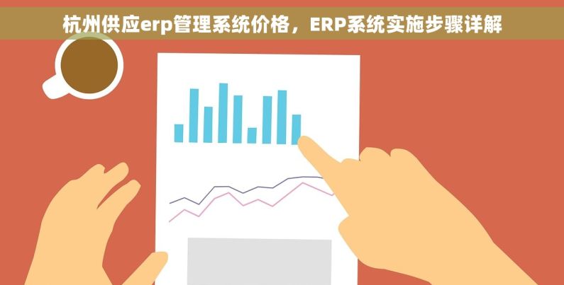 杭州供应erp管理系统价格，ERP系统实施步骤详解