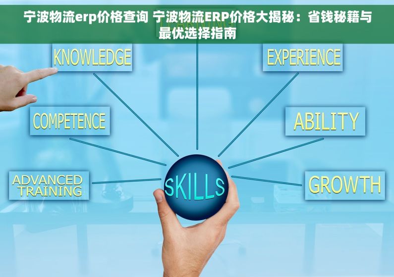 宁波物流erp价格查询 宁波物流ERP价格大揭秘：省钱秘籍与最优选择指南
