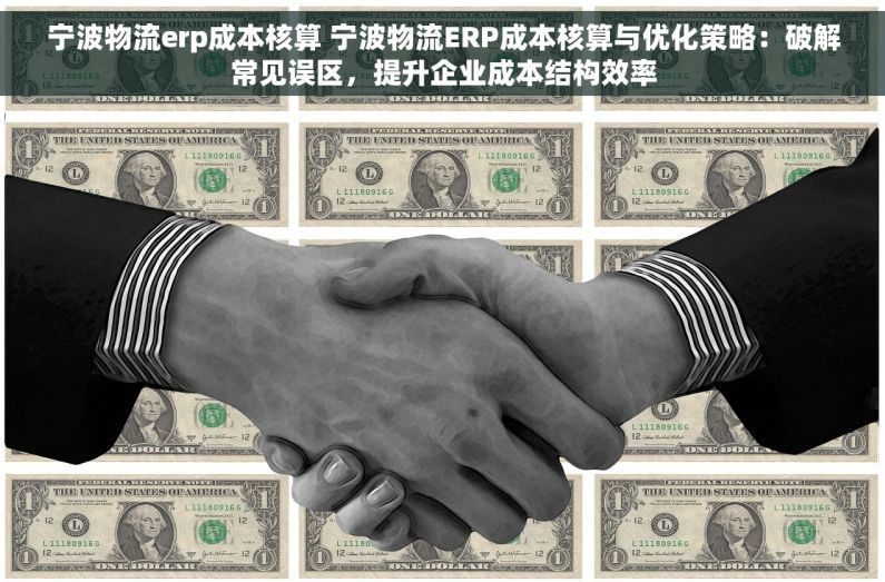 宁波物流erp成本核算 宁波物流ERP成本核算与优化策略：破解常见误区，提升企业成本结构效率