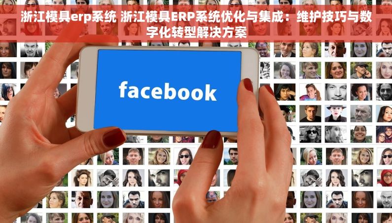 浙江模具erp系统 浙江模具ERP系统优化与集成：维护技巧与数字化转型解决方案