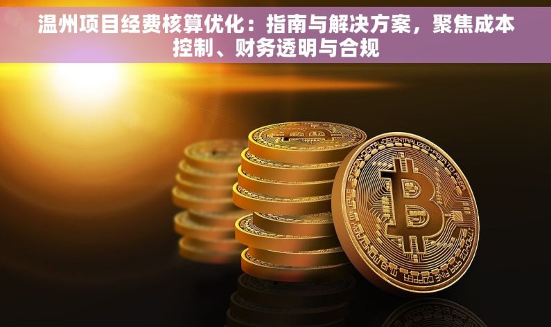 温州项目经费核算优化：指南与解决方案，聚焦成本控制、财务透明与合规