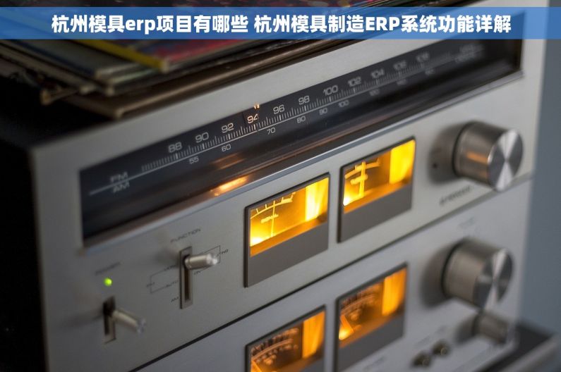 杭州模具erp项目有哪些 杭州模具制造ERP系统功能详解