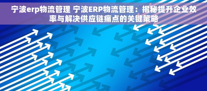 宁波erp物流管理 宁波ERP物流管理：揭秘提升企业效率与解决供应链痛点的关键策略