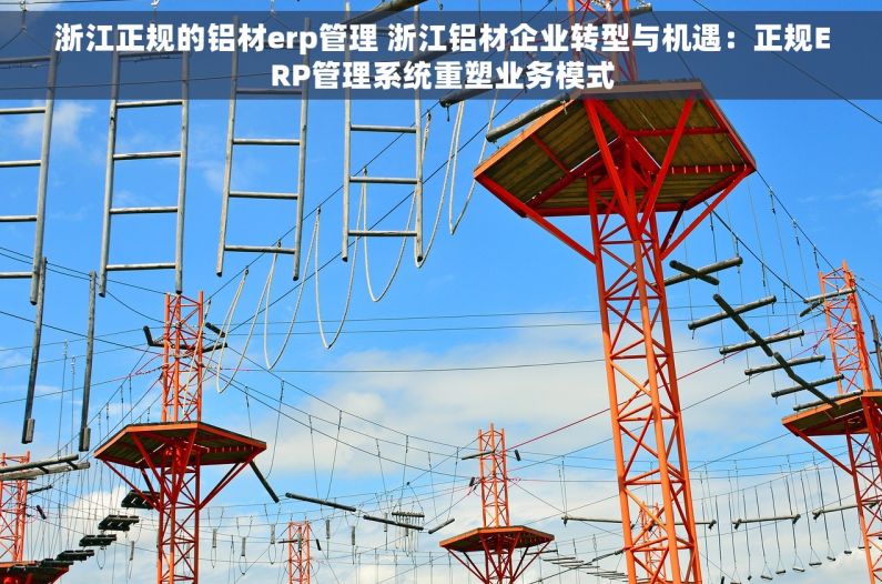 浙江正规的铝材erp管理 浙江铝材企业转型与机遇：正规ERP管理系统重塑业务模式