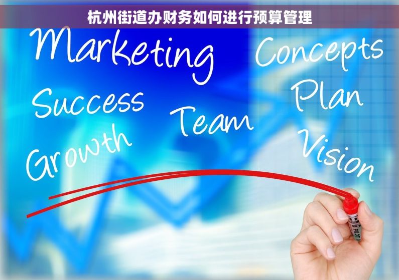 杭州街道办财务如何进行预算管理
