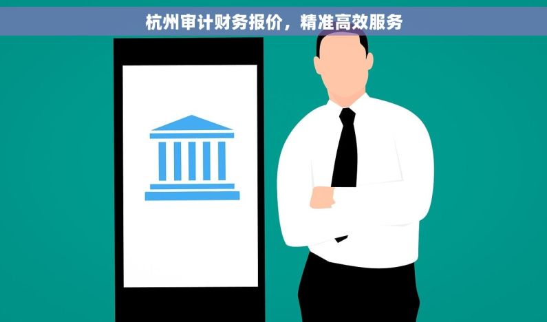 杭州审计财务报价，精准高效服务