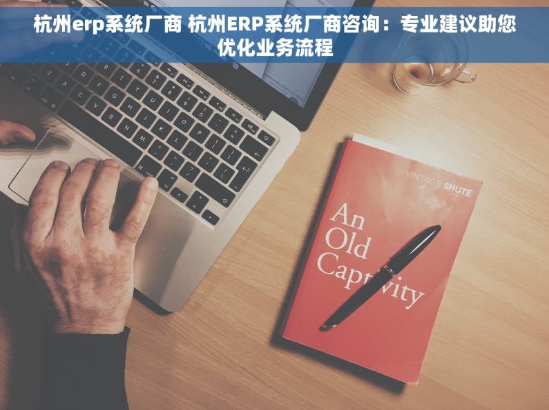 杭州erp系统厂商 杭州ERP系统厂商咨询：专业建议助您优化业务流程