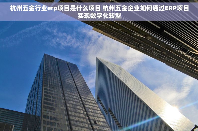 杭州五金行业erp项目是什么项目 杭州五金企业如何通过ERP项目实现数字化转型