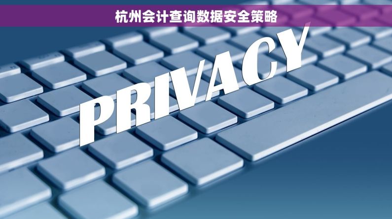 杭州会计查询数据安全策略