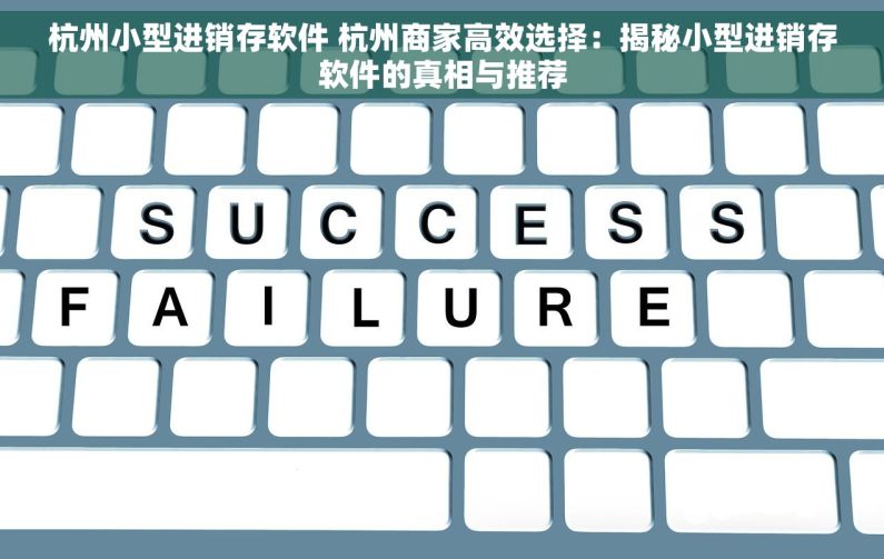 杭州小型进销存软件 杭州商家高效选择：揭秘小型进销存软件的真相与推荐
