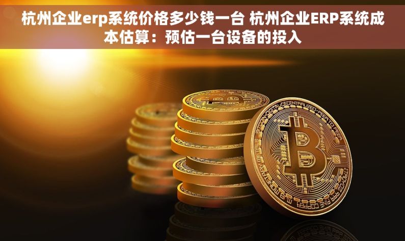 杭州企业erp系统价格多少钱一台 杭州企业ERP系统成本估算：预估一台设备的投入