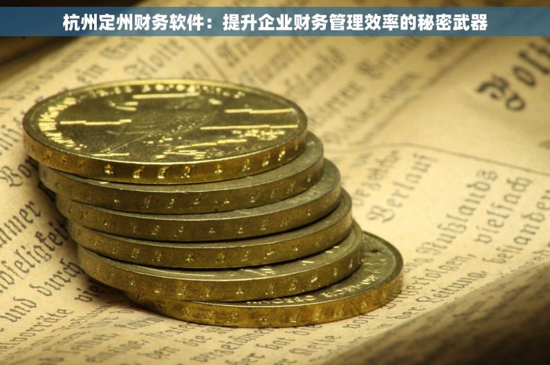 杭州定州财务软件：提升企业财务管理效率的秘密武器
