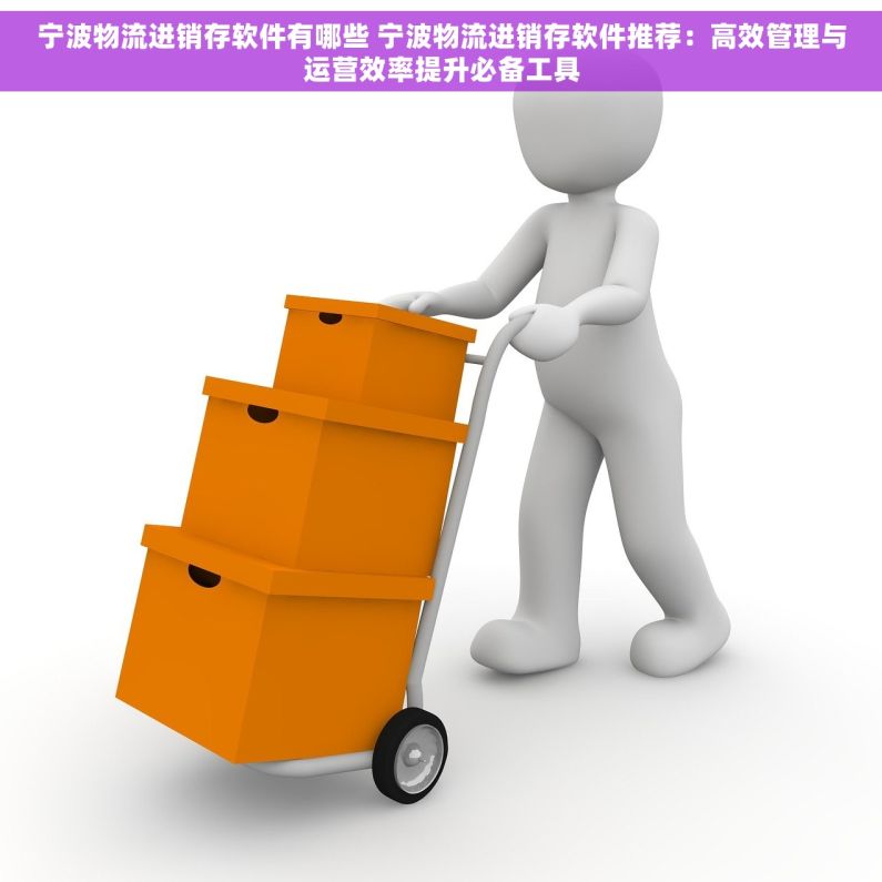宁波物流进销存软件有哪些 宁波物流进销存软件推荐：高效管理与运营效率提升必备工具